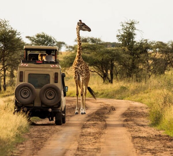 5 Days Classic Lodge Safaris