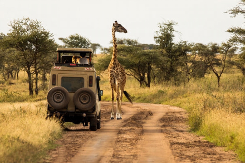 1 Full Day Safari Tarangire National Park