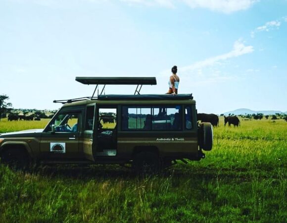 7 Days Safari to Northern Tanzania