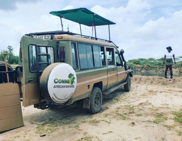 7 Days Serengeti Wildbeast Migration Safari