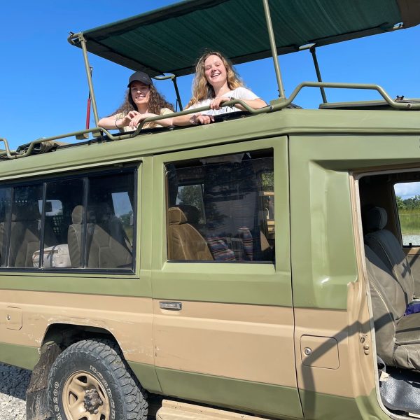 Serengeti Wildebeest migration