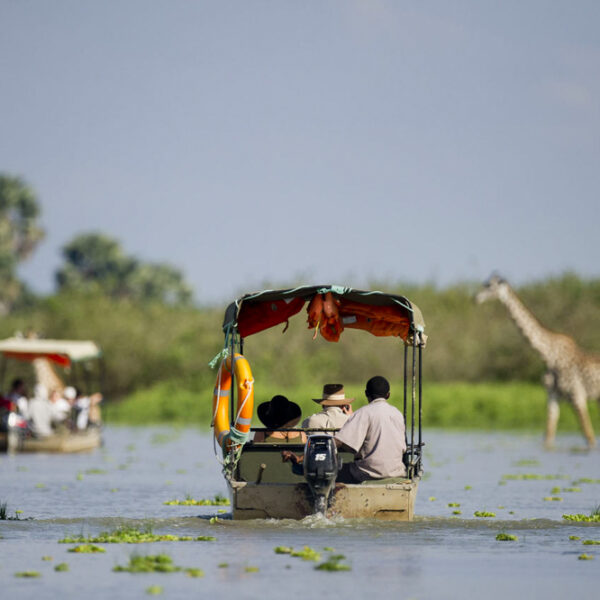 Spectacular Southern Tanzania National Parks