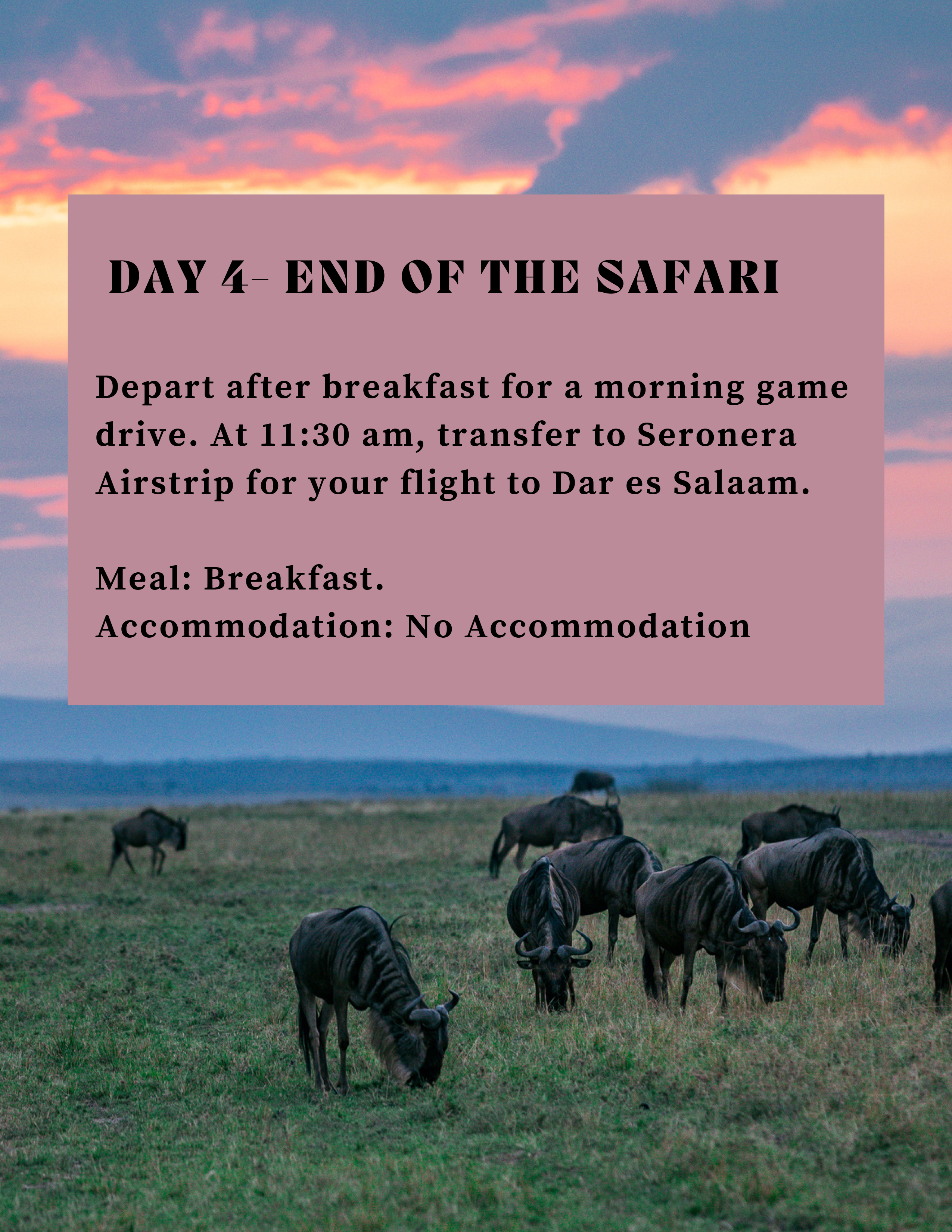 4 DAYS MIGRATION SAFARI (1)-4