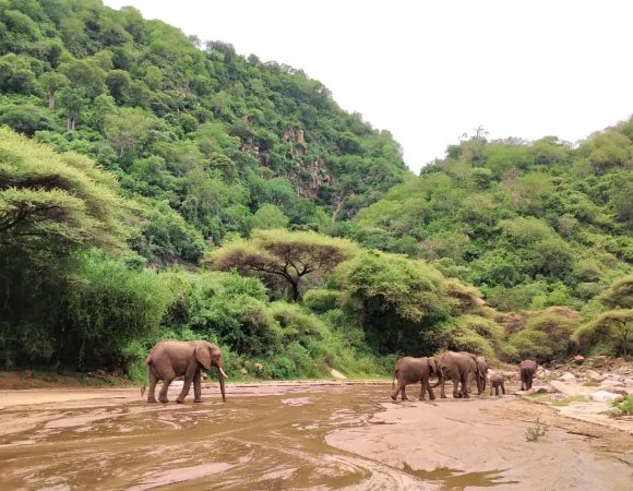 9 Days Magic Tanzania