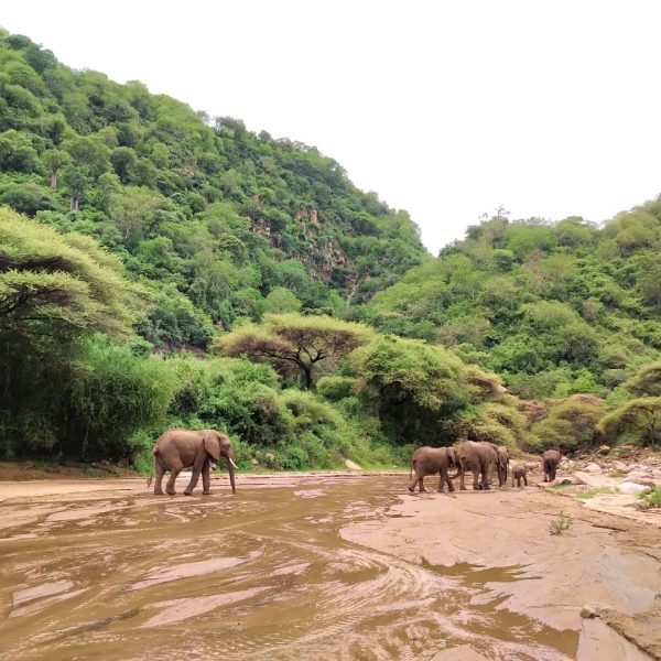 9 Days Magic Tanzania